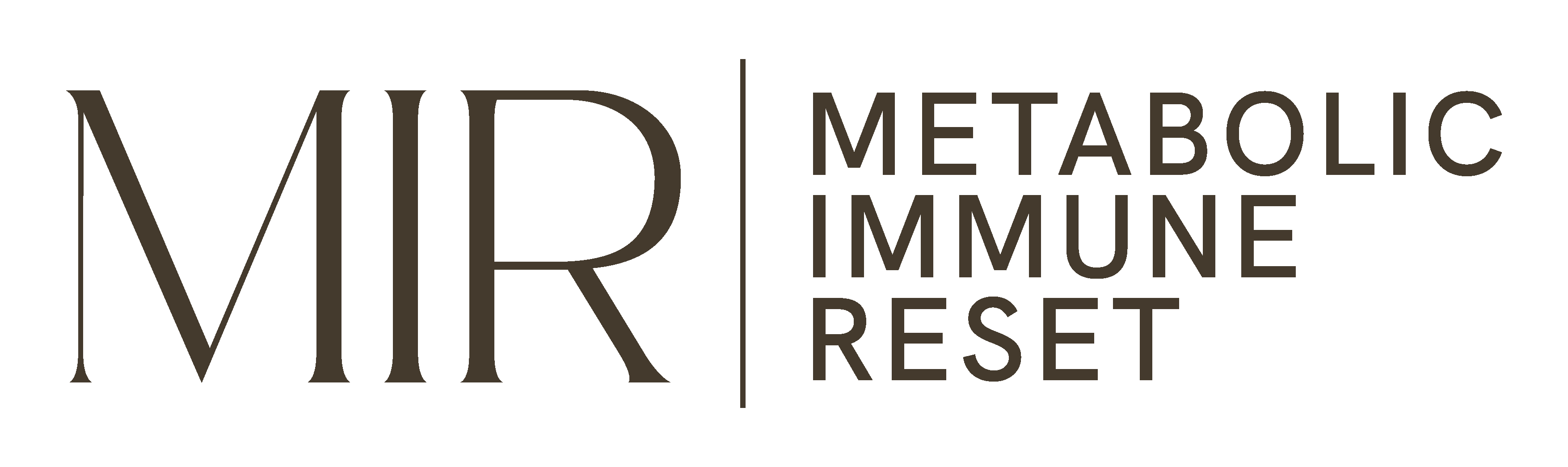 Mentoria MIR